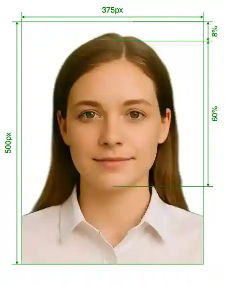 Germany player passport 375 pixels Size Guide with dimensions in inches and mm