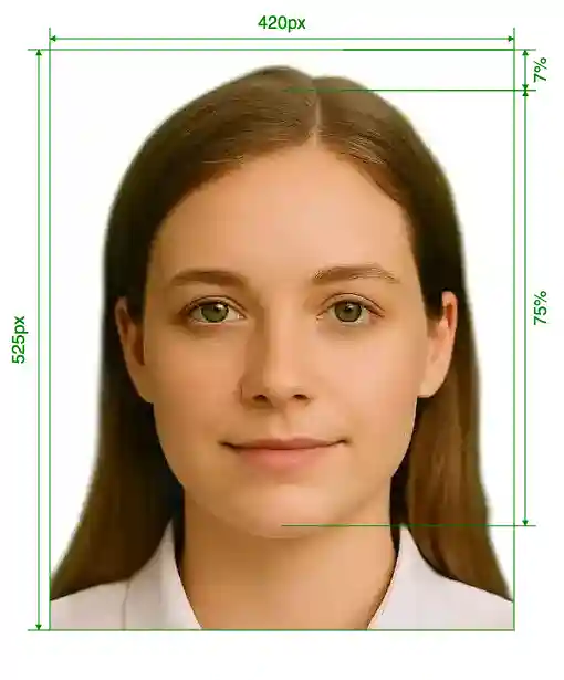 India online driving licence 420x525 pixels Size Guide with dimensions in inches and mm