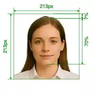 India PAN card online 213x213 pixel Size Guide with dimensions in inches and mm