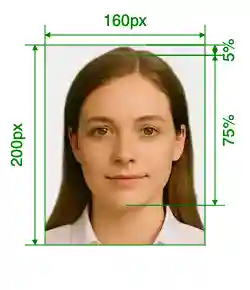 India Police clearance certificate (PCC) 160x200-212 px Size Guide with dimensions in inches and mm