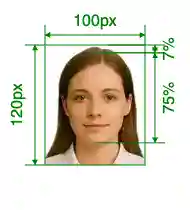 India registration of birth 100x120 pixel Size Guide with dimensions in inches and mm