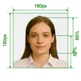 India Visa 190x190 px via VFSglobal.com Size Guide with dimensions in inches and mm