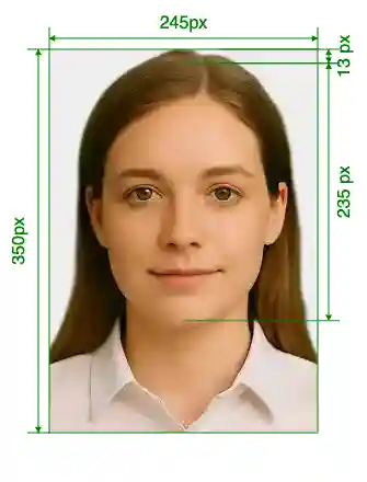 Russia Driving License Gosuslugi 245x350 px Size Guide with dimensions in inches and mm